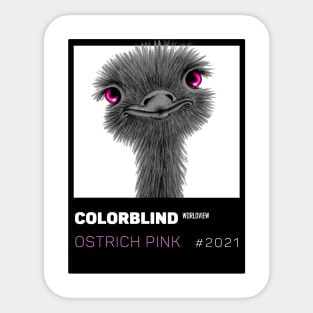 OSTRICH PINK - black card  by COLORBLIND WorldView Sticker